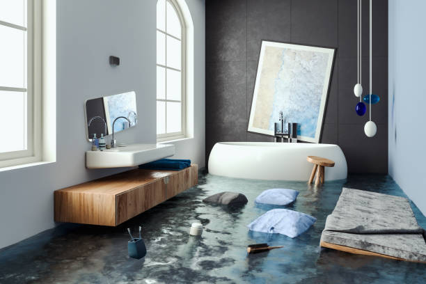 Professional Water damage restoration in Hokendauqua, PA