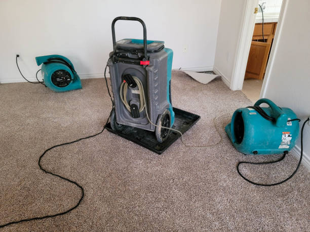 Water damage restoration experts in Hokendauqua, PA