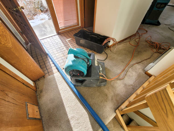 Best Water damage cleanup near me  in Hokendauqua, PA