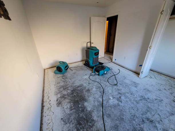 Carpet water damage restoration in Hokendauqua, PA