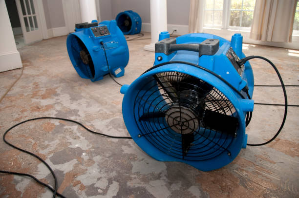 Best Sewage cleanup and water damage restoration  in Hokendauqua, PA