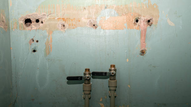 Best Basement water damage restoration  in Hokendauqua, PA